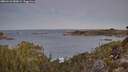 ./images/calvert/foggy-cove/20260123/foggy-cove20260123_080001M.jpg