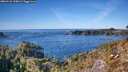 ./images/calvert/foggy-cove/20260123/foggy-cove20260123_135001M.jpg
