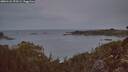 ./images/calvert/foggy-cove/20260124/foggy-cove20260124_075501M.jpg