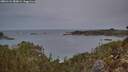 ./images/calvert/foggy-cove/20260124/foggy-cove20260124_080001M.jpg