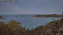./images/calvert/foggy-cove/20260125/foggy-cove20260125_075502M.jpg