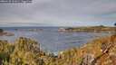 ./images/calvert/foggy-cove/20260125/foggy-cove20260125_111001M.jpg