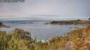./images/calvert/foggy-cove/20260125/foggy-cove20260125_122001M.jpg