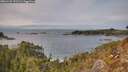 ./images/calvert/foggy-cove/20260125/foggy-cove20260125_132501M.jpg
