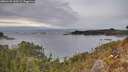 ./images/calvert/foggy-cove/20260125/foggy-cove20260125_144501M.jpg