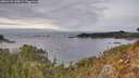 ./images/calvert/foggy-cove/20260125/foggy-cove20260125_145001M.jpg