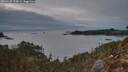 ./images/calvert/foggy-cove/20260125/foggy-cove20260125_173001M.jpg