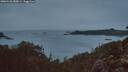 ./images/calvert/foggy-cove/20260126/foggy-cove20260126_080001M.jpg