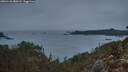 ./images/calvert/foggy-cove/20260126/foggy-cove20260126_080501M.jpg