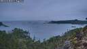 ./images/calvert/foggy-cove/20260126/foggy-cove20260126_081001M.jpg