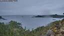 ./images/calvert/foggy-cove/20260126/foggy-cove20260126_081501M.jpg