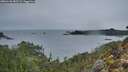 ./images/calvert/foggy-cove/20260126/foggy-cove20260126_082501M.jpg