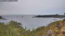 ./images/calvert/foggy-cove/20260126/foggy-cove20260126_085501M.jpg