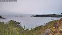 ./images/calvert/foggy-cove/20260126/foggy-cove20260126_090002M.jpg