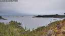 ./images/calvert/foggy-cove/20260126/foggy-cove20260126_091001M.jpg