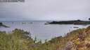./images/calvert/foggy-cove/20260126/foggy-cove20260126_091501M.jpg