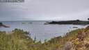 ./images/calvert/foggy-cove/20260126/foggy-cove20260126_092001M.jpg