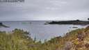 ./images/calvert/foggy-cove/20260126/foggy-cove20260126_092502M.jpg