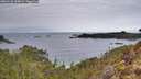 ./images/calvert/foggy-cove/20260126/foggy-cove20260126_094001M.jpg