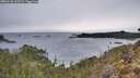 ./images/calvert/foggy-cove/20260126/foggy-cove20260126_103501M.jpg