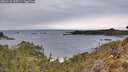 ./images/calvert/foggy-cove/20260126/foggy-cove20260126_105501M.jpg