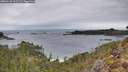 ./images/calvert/foggy-cove/20260126/foggy-cove20260126_111501M.jpg