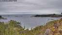 ./images/calvert/foggy-cove/20260126/foggy-cove20260126_120001M.jpg