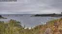 ./images/calvert/foggy-cove/20260126/foggy-cove20260126_120501M.jpg