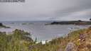 ./images/calvert/foggy-cove/20260126/foggy-cove20260126_135001M.jpg