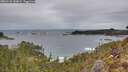 ./images/calvert/foggy-cove/20260126/foggy-cove20260126_143002M.jpg