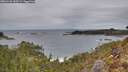 ./images/calvert/foggy-cove/20260126/foggy-cove20260126_143502M.jpg