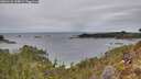 ./images/calvert/foggy-cove/20260126/foggy-cove20260126_144001M.jpg