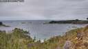 ./images/calvert/foggy-cove/20260126/foggy-cove20260126_145001M.jpg