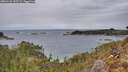 ./images/calvert/foggy-cove/20260126/foggy-cove20260126_145501M.jpg