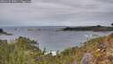 ./images/calvert/foggy-cove/20260126/foggy-cove20260126_150001M.jpg