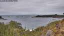 ./images/calvert/foggy-cove/20260126/foggy-cove20260126_151501M.jpg