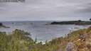 ./images/calvert/foggy-cove/20260126/foggy-cove20260126_152502M.jpg