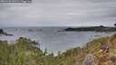 ./images/calvert/foggy-cove/20260126/foggy-cove20260126_153501M.jpg