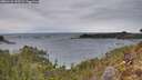 ./images/calvert/foggy-cove/20260126/foggy-cove20260126_155501M.jpg