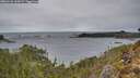 ./images/calvert/foggy-cove/20260126/foggy-cove20260126_164501M.jpg