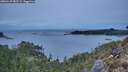 ./images/calvert/foggy-cove/20260127/foggy-cove20260127_082501M.jpg