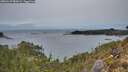 ./images/calvert/foggy-cove/20260127/foggy-cove20260127_083002M.jpg