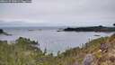 ./images/calvert/foggy-cove/20260127/foggy-cove20260127_090002M.jpg