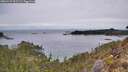./images/calvert/foggy-cove/20260127/foggy-cove20260127_091502M.jpg