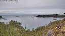 ./images/calvert/foggy-cove/20260127/foggy-cove20260127_093001M.jpg