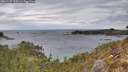 ./images/calvert/foggy-cove/20260127/foggy-cove20260127_110501M.jpg