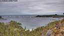 ./images/calvert/foggy-cove/20260127/foggy-cove20260127_154001M.jpg