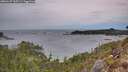 ./images/calvert/foggy-cove/20260127/foggy-cove20260127_165502M.jpg