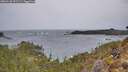 ./images/calvert/foggy-cove/20260128/foggy-cove20260128_091501M.jpg