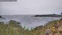 ./images/calvert/foggy-cove/20260128/foggy-cove20260128_101001M.jpg